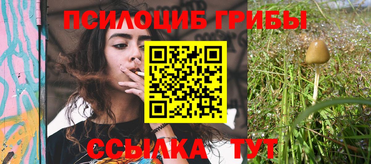 Галлюциногенные грибы мухоморы Шатура